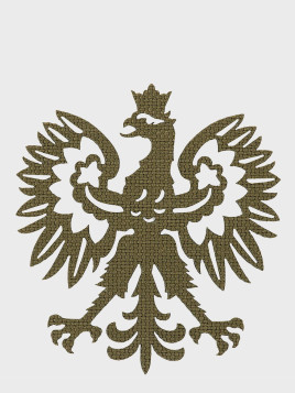 M-TAC NASZYWKA POLSKI ORZEŁ LASER CUT RZEP oliwkowa