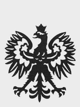 M-TAC NASZYWKA POLSKI ORZEŁ LASER CUT RZEP CZARNA