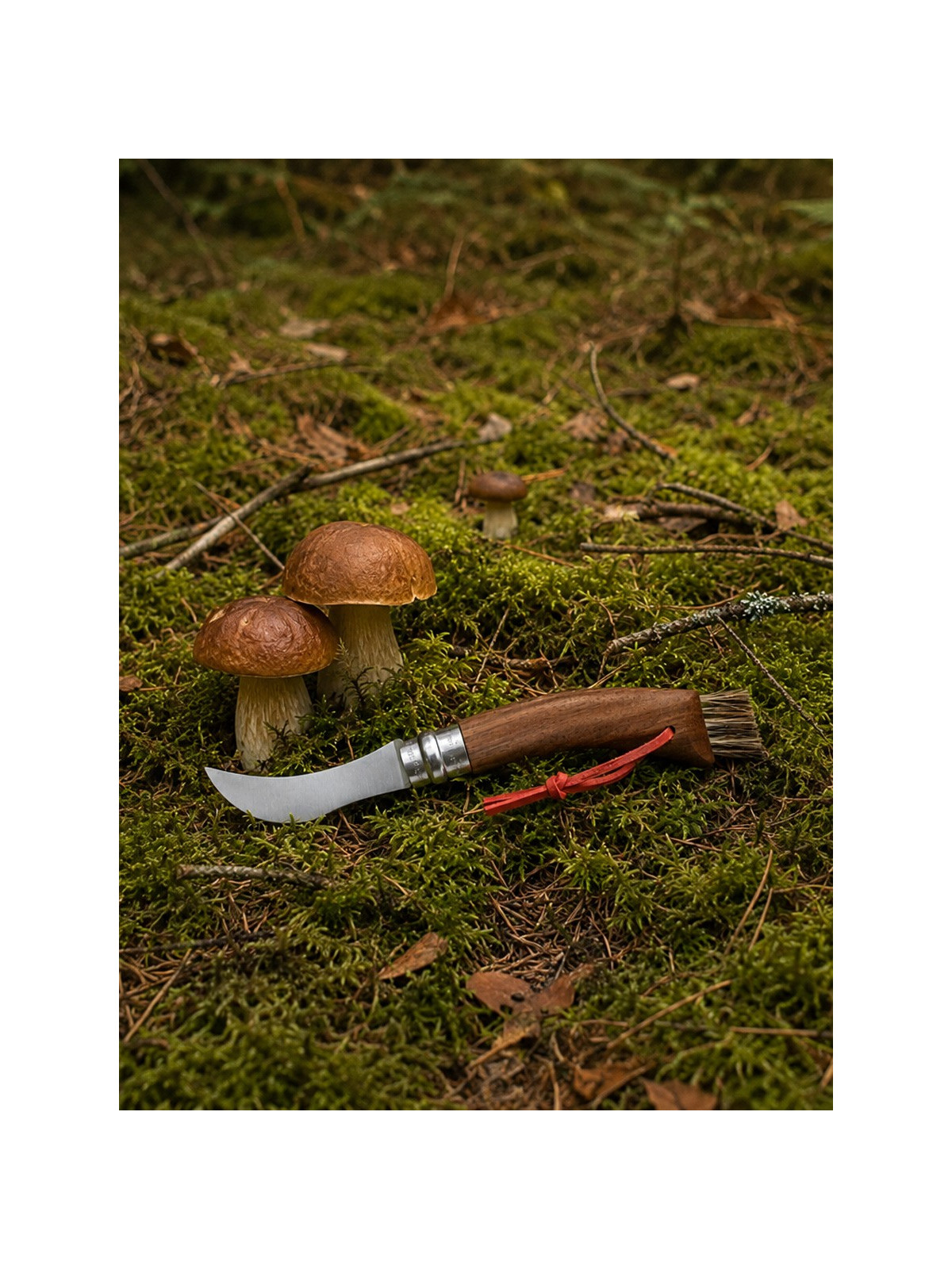OPINEL Nóż składany no 8 Inox Mushroom do zbierania grzybów w pudełku