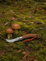 OPINEL Nóż składany no 8 Inox Mushroom do zbierania grzybów w pudełku
