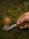 OPINEL Nóż składany no 8 Inox Mushroom do zbierania grzybów w pudełku