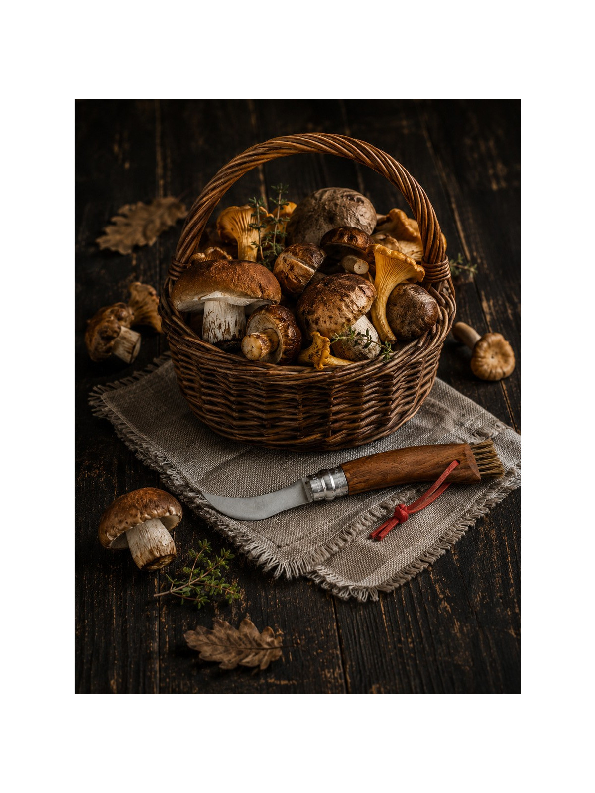 OPINEL Nóż składany no 8 Inox Mushroom do zbierania grzybów w pudełku