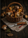 OPINEL Nóż składany no 8 Inox Mushroom do zbierania grzybów w pudełku