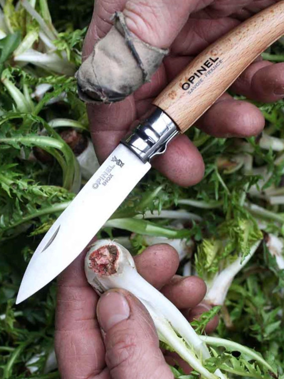 OPINEL NÓŻ OGRODNICZY SKŁADANY SCYZORYK No.08 drewniany blister