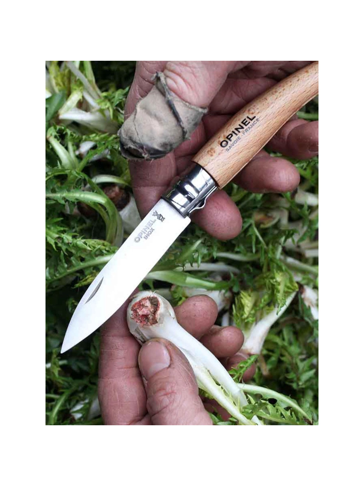 OPINEL NÓŻ OGRODNICZY SKŁADANY SCYZORYK No.08 drewniany blister
