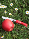 OPINEL Nóż składany scyzoryk drewniany dla dzieci My First 07 czerwony