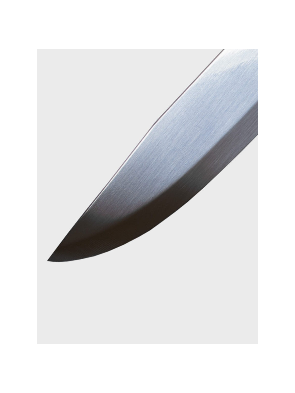 MORAKNIV NÓŻ COMPANION DESERT 13166 STAL NIERDZEWNA BEŻOWY