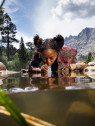 LifeStraw Filtr uzdatniający do wody Peak Personal Niebieski