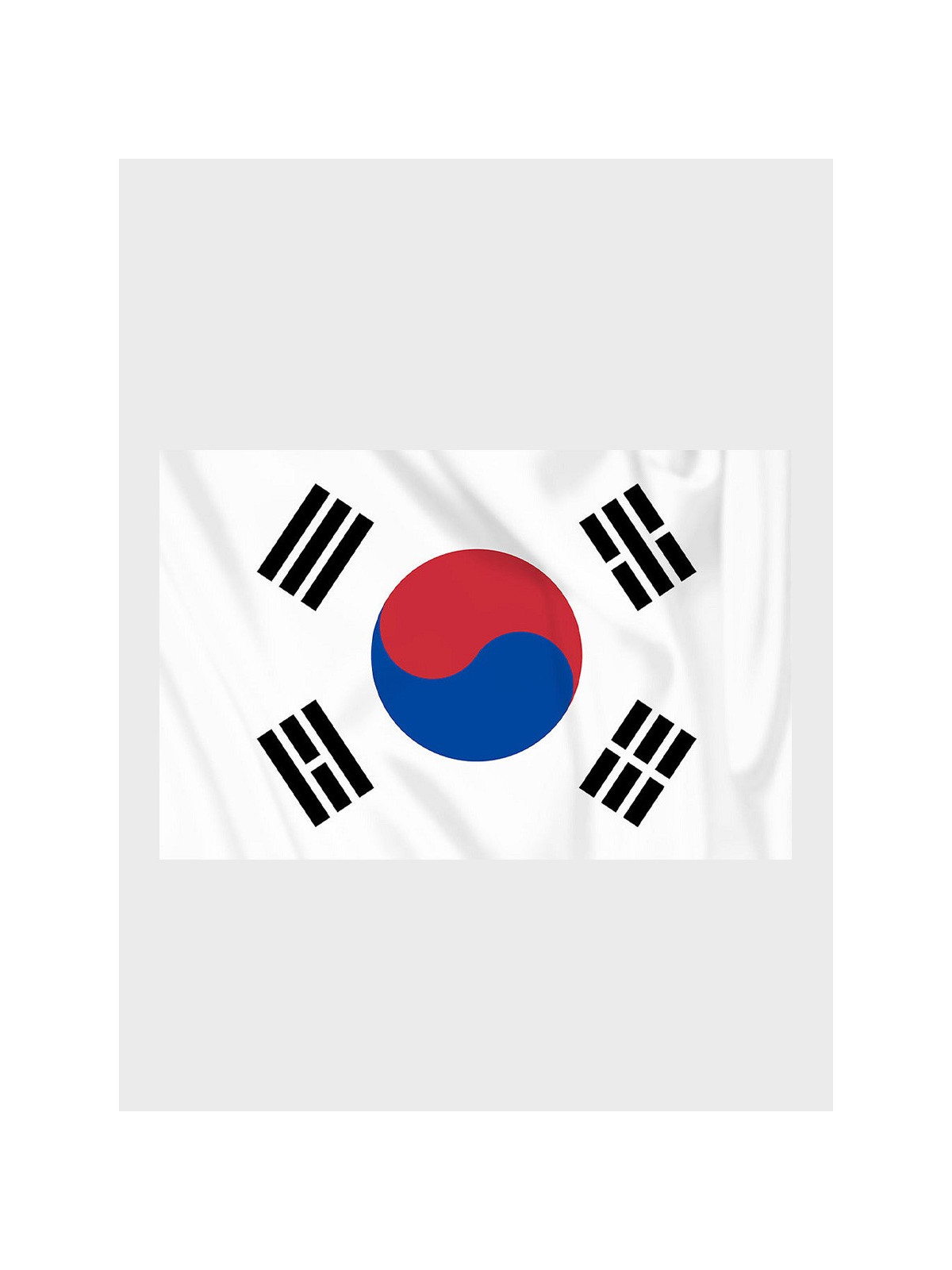 FOSCO INDUSTRIES Flaga na maszt Korei Południowej Korea Południowa 100 x 150 cm