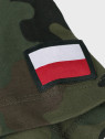 DOMINATOR URBAN COMBAT Koszulka dziecięca chłopięca t-shirt bawełna z flagami PL WZ.93 152