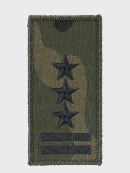SPIN Emblemat WTU/134 Pułkownik 42X86mm na rzep WZ.93