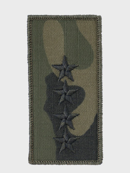 SPIN Emblemat WTU/134 Starszy chorąży sztabowy 42X86mm na rzep WZ.93