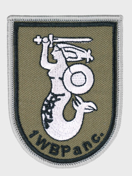 SPIN 1 Warszawska Brygada Pancerna 1WBPanc. Naszywka z Rzepem WP Gaszona 