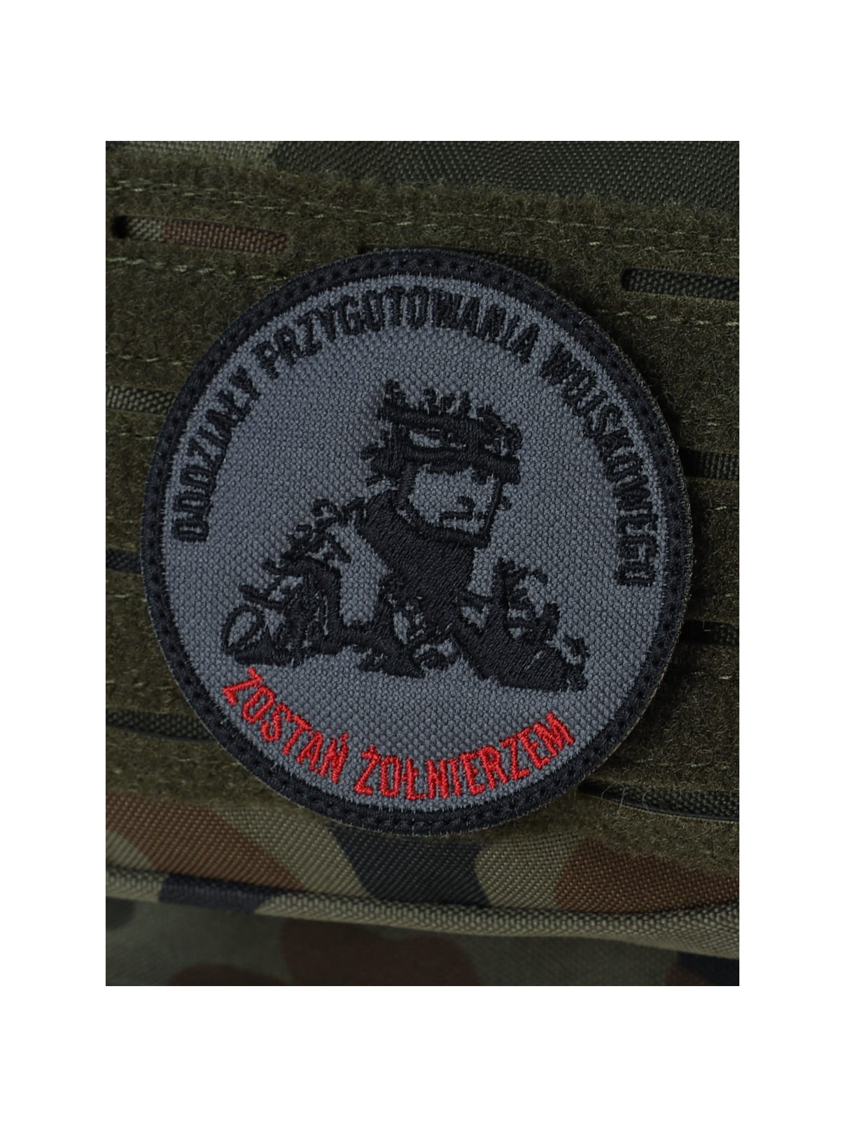SPIN Emblemat Certyfikowana Klasa Mundurowa Klasa Wojskowa Szkolna