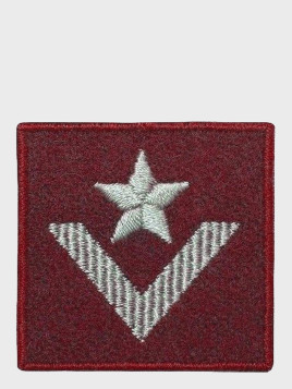 SPIN EMBLEMAT NA BERET MŁODSZY CHORĄŻY BORDOWY