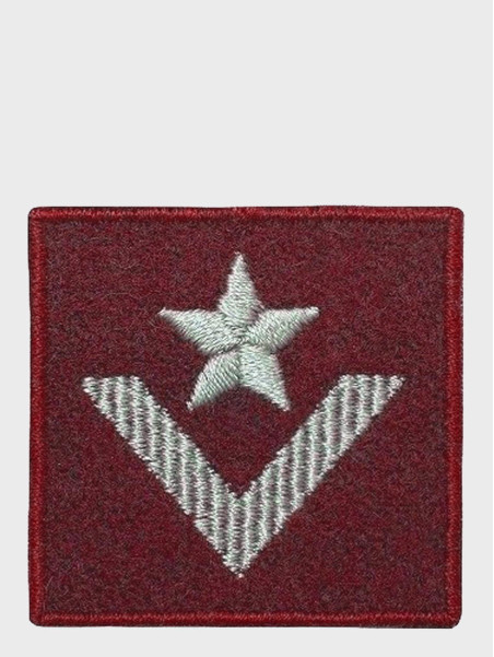 SPIN EMBLEMAT NA BERET MŁODSZY CHORĄŻY BORDOWY