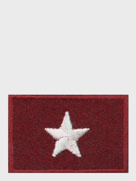 SPIN EMBLEMAT NA BERET CHORĄŻY BORDOWY