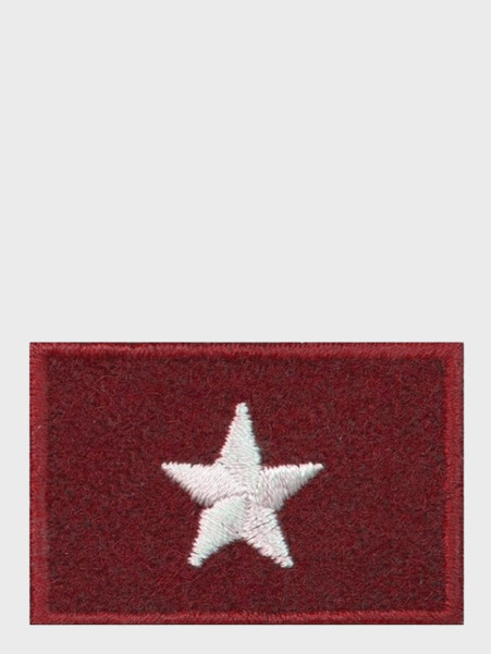 SPIN EMBLEMAT NA BERET CHORĄŻY BORDOWY