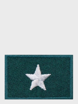 SPIN EMBLEMAT NA BERET CHORĄŻY ZIELONY