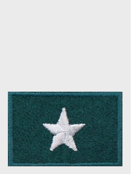 SPIN EMBLEMAT NA BERET CHORĄŻY ZIELONY
