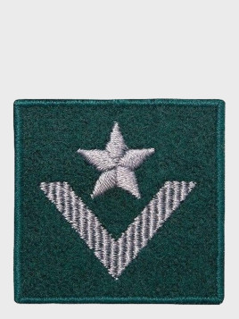 SPIN EMBLEMAT NA BERET MŁODSZY CHORĄŻY ZIELONY
