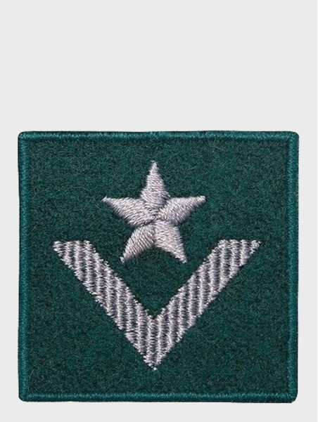 SPIN EMBLEMAT NA BERET MŁODSZY CHORĄŻY ZIELONY