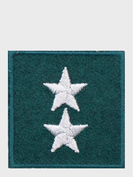 SPIN EMBLEMAT NA BERET STARSZY CHORŻĄY ZIELONY