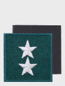 SPIN EMBLEMAT NA BERET STARSZY CHORŻĄY ZIELONY