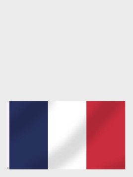 MIL-TEC Flaga Francji 90x150cm