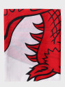 FOSCO INDUSTRIES Flaga na maszt Walii Walia 98 x 152 cm
