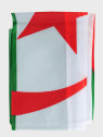 FOSCO INDUSTRIES Flaga na maszt Algierii Algieria 91 x 152 cm