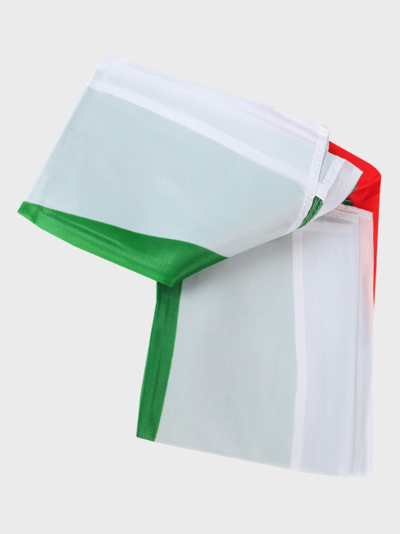 FOSCO INDUSTRIES Flaga na maszt Algierii Algieria 91 x 152 cm