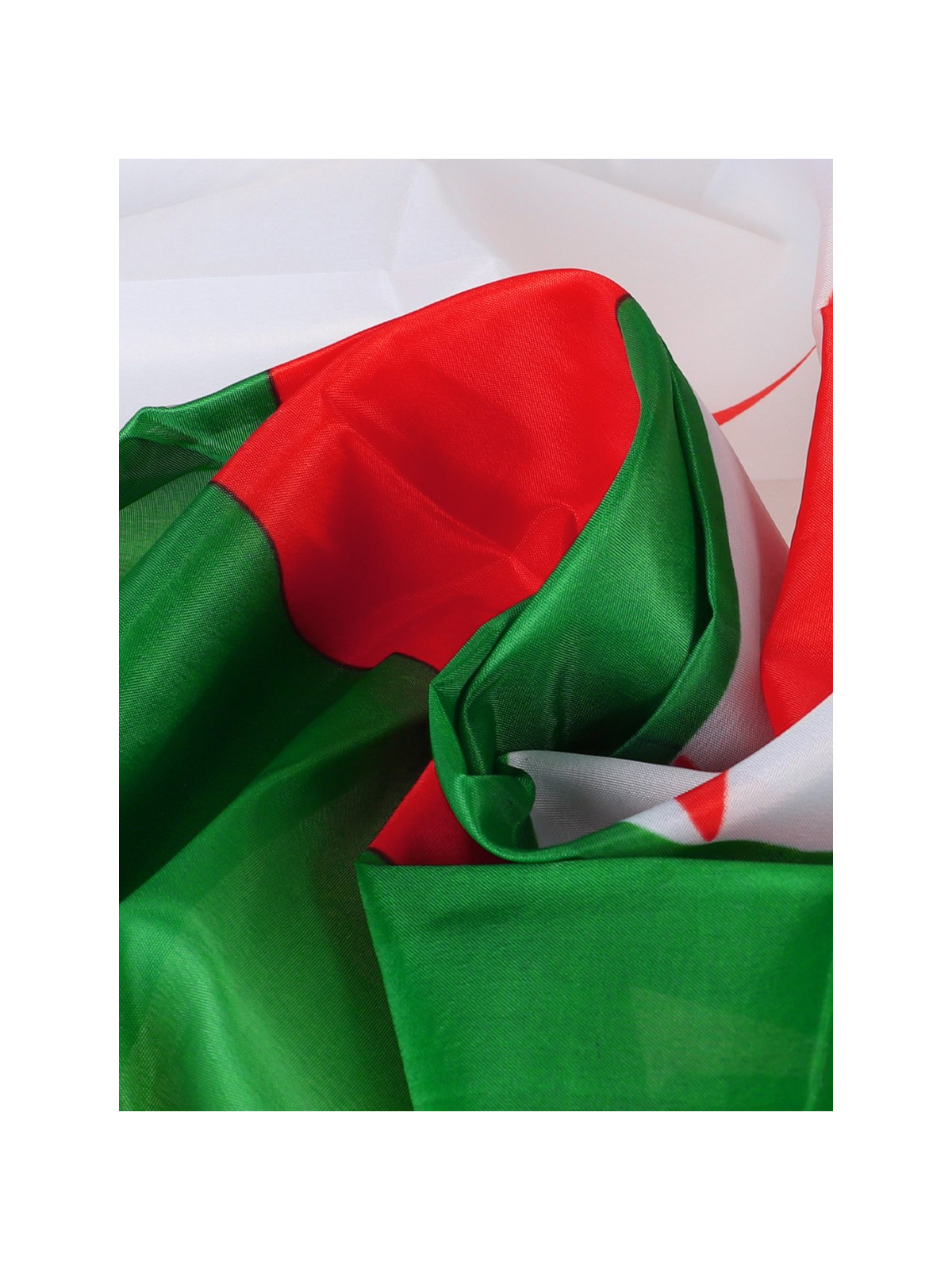 FOSCO INDUSTRIES Flaga na maszt Algierii Algieria 91 x 152 cm