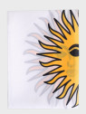 FOSCO INDUSTRIES Flaga na maszt Argentyny Argentyna 99 x 152 cm
