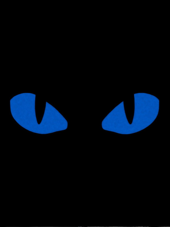 M-TAC Naszywka Tiger Eyes LC PARA Czarna - Oczy Niebieskie