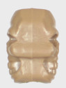M-TAC Koralik Czaszka Skull Stopper Coyote Brown