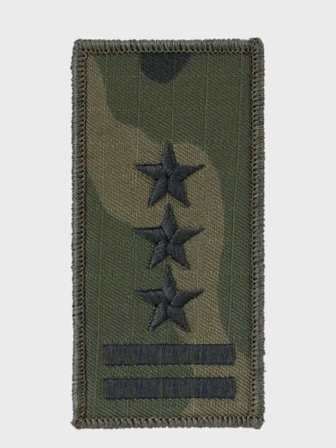 Emblemat WTU/134 Pułkownik 42X86mm na rzep WZ.93