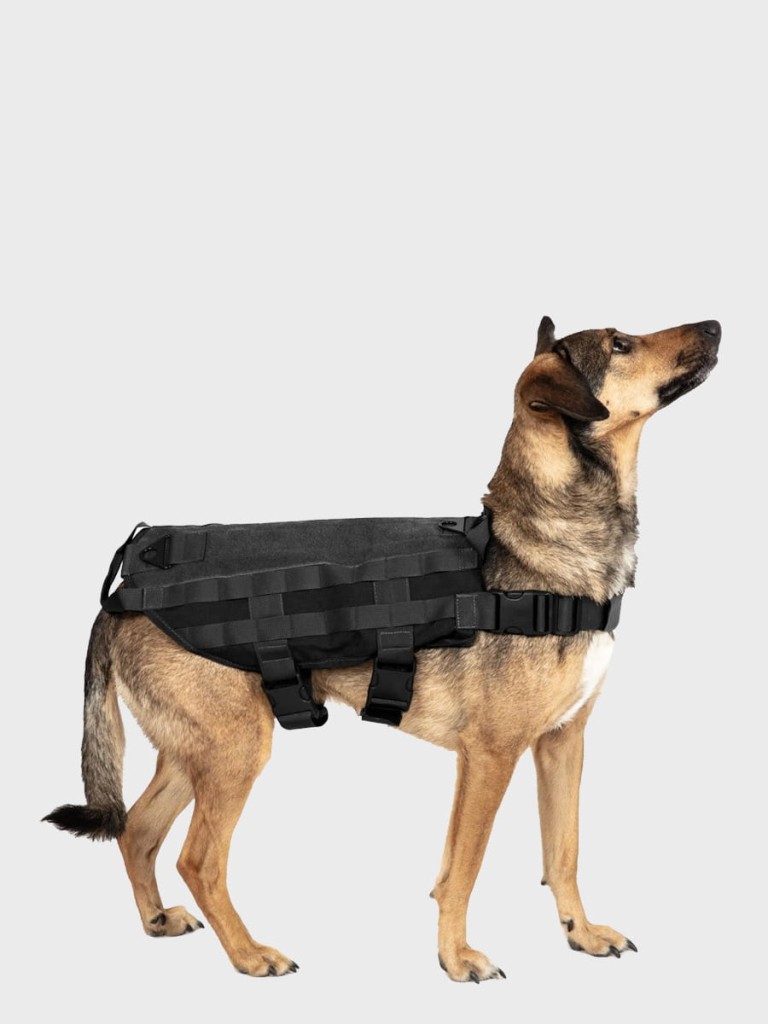 65d1657c29db2961ee1ef3734a522e3b