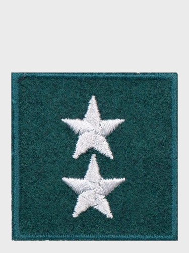 EMBLEMAT NA BERET STARSZY CHORŻĄY ZIELONY