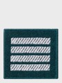 92f152906ab55f69a428a25cb56729a2