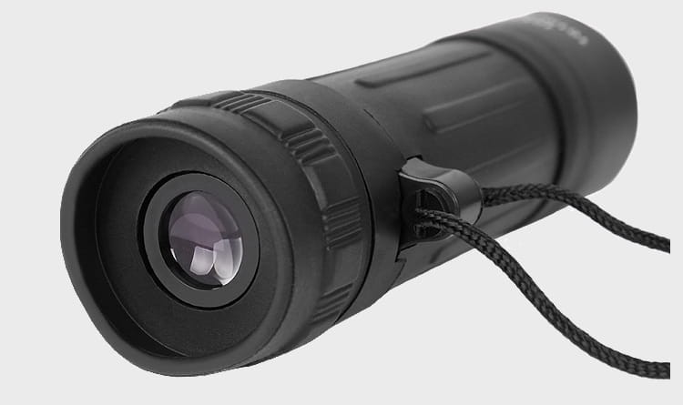 033ee29cd73159315aa31be3671b7806