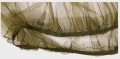 mil-tec_moskitiera_galeria_07.jpg