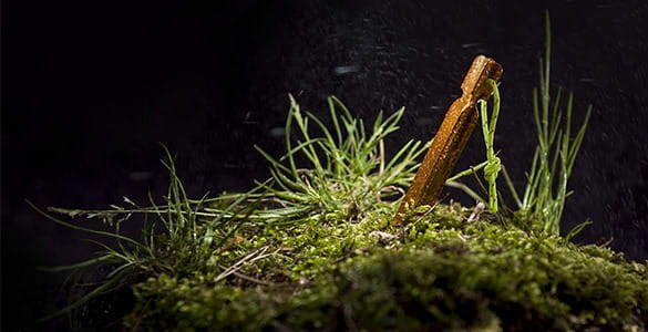 07c01540a51716d2d8036212e990d1e7