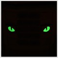 M-Tac_naszywka_Tiger-Eyes_green_galeria_05.jpg