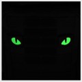 M-Tac_naszywka_Tiger-Eyes_black_galeria_05.jpg