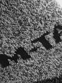 7697516783c63123326298e668681368