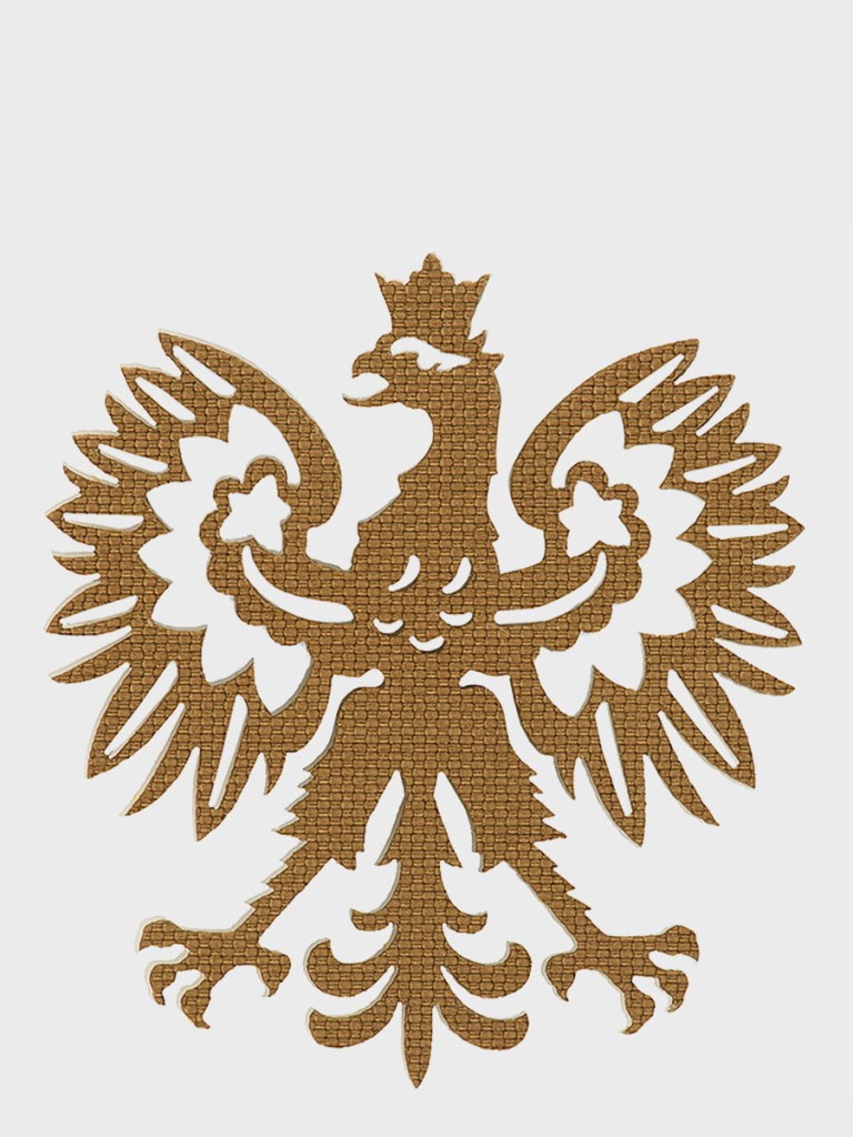 M-Tac_naszywka_Polski_orzel_Laser_Cut_coyote_galeria_01.jpg