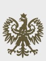 M-Tac_naszywka_Polski_orzel_Laser_Cut_green_galeria_02.jpg