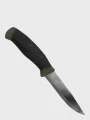 mora_noz_COMPANION_CMG_olive_galeria_01.jpg