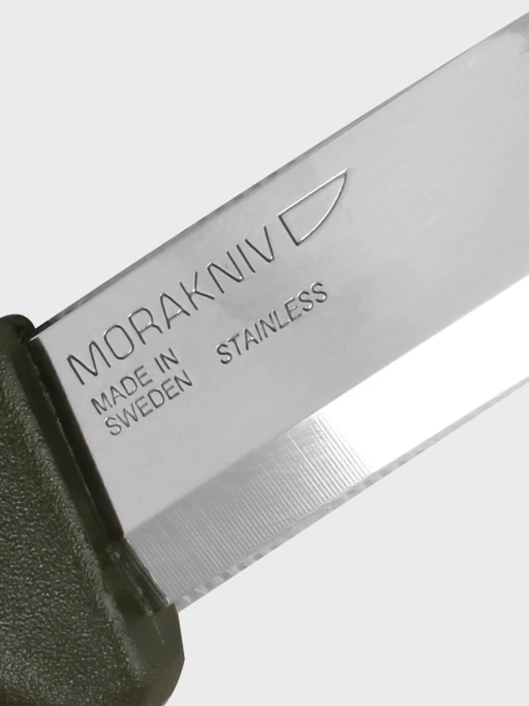 mora_noz_COMPANION_CMG_olive_galeria_06.jpg